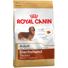 Dachshund Royal Canin